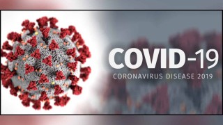 covid-19_Nx59C.jpg