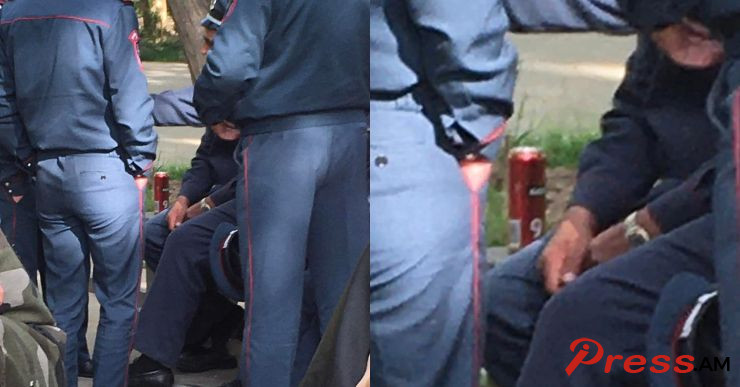 vostikanner-vogelic-xmichq_VXwuy.jpg