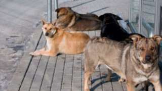 img0169_66F7R.jpeg