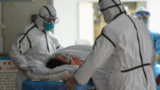 rinovirus-bokavirus_8Qazp.jpg
