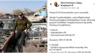 nikol-p_5vuEg.jpg
