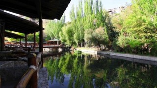 untitled-1-625_iwvLP.jpg