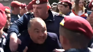 cucarar_xIuwT.png
