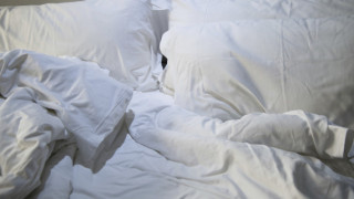 o-blanket-hog-570_oBM50.jpg
