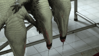 895082326725876602156237324858490428588032nthumb_qOnGi.png