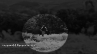 zinvac_FqmAe.png