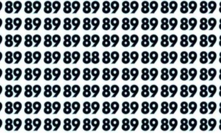 tramabanakan-test_guS3e.jpg